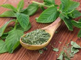 تصویر 2 از خرید و قیمت نعنا خشک شده + فروش عمده